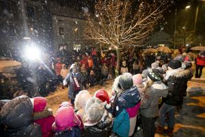 020 Pozdrav zimi inpraznik luci Foto atelje Postojna